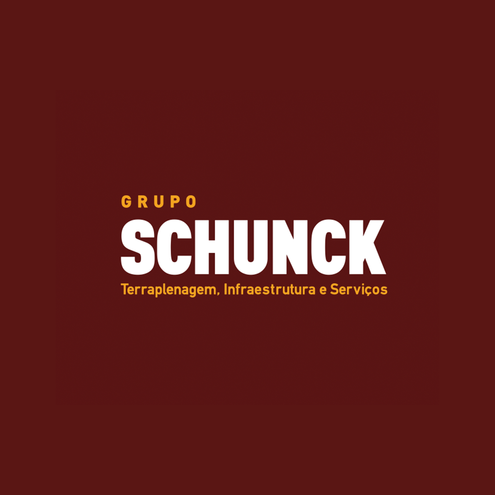 Grupo Schunck